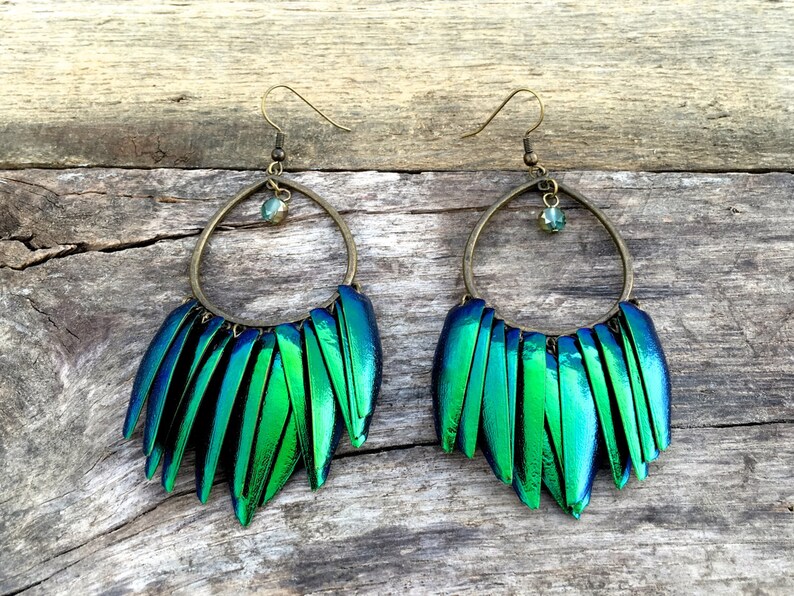 Real Beetle Wing Earrings Taxidermy Bug Earrings Large Etsy