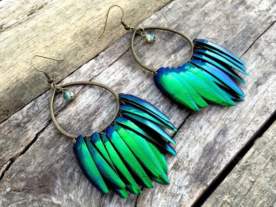 Beetle wing earrings sale