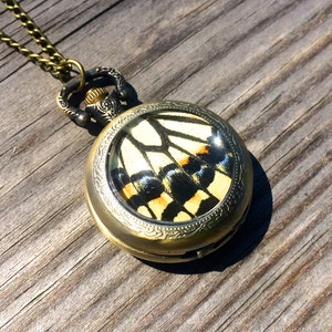 Op de afbeelding: Een gouden zakhorlogeketting met een vlinder vleugel ontwerp. De vlindervleugel is geel, zwart en oranje.