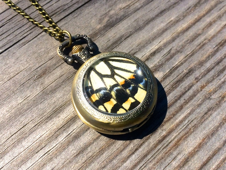 Op de afbeelding: Een gouden zakhorlogeketting met een vlinder vleugel ontwerp. De vlindervleugel is geel, zwart en oranje.