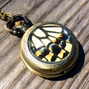 Op de afbeelding: Een gouden zakhorlogeketting met een helder glazen gezicht met een geconserveerde vlinder vleugel. De vlinder vleugel is geel, zwart en oranje.