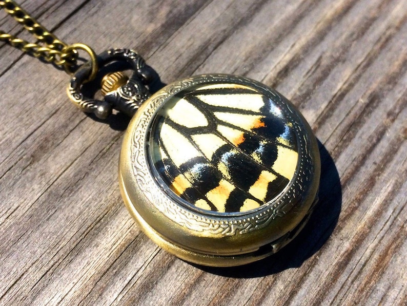 Op de afbeelding: Een gouden zakhorlogeketting met een helder glazen gezicht met een geconserveerde vlinder vleugel. De vlinder vleugel is geel, zwart en oranje.