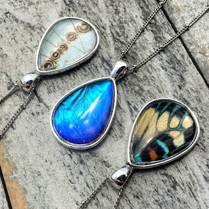 Real butterfly wing necklace Monarch butterfly necklace Friendship necklace for 2 3 4 5 6 Terrarium necklace Blue morpho butterfly jewelry
