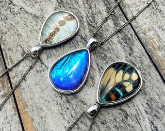 Real butterfly wing necklace Monarch butterfly necklace Friendship necklace for 2 3 4 5 6 Terrarium necklace Blue morpho butterfly jewelry