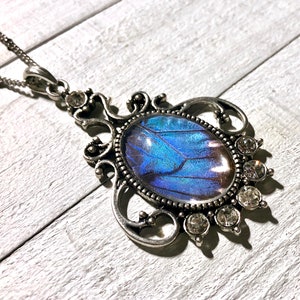 Echte Schmetterlingsflügel Halskette Blaue Morpho Schmetterling Halskette Echtsilber Schmetterling Halskette für Frauen Geburtstag Geschenke Bild 6