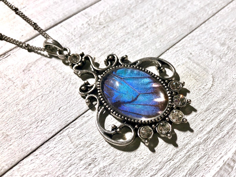 Echte Schmetterlingsflügel Halskette Blaue Morpho Schmetterling Halskette Echtsilber Schmetterling Halskette für Frauen Geburtstag Geschenke Bild 6