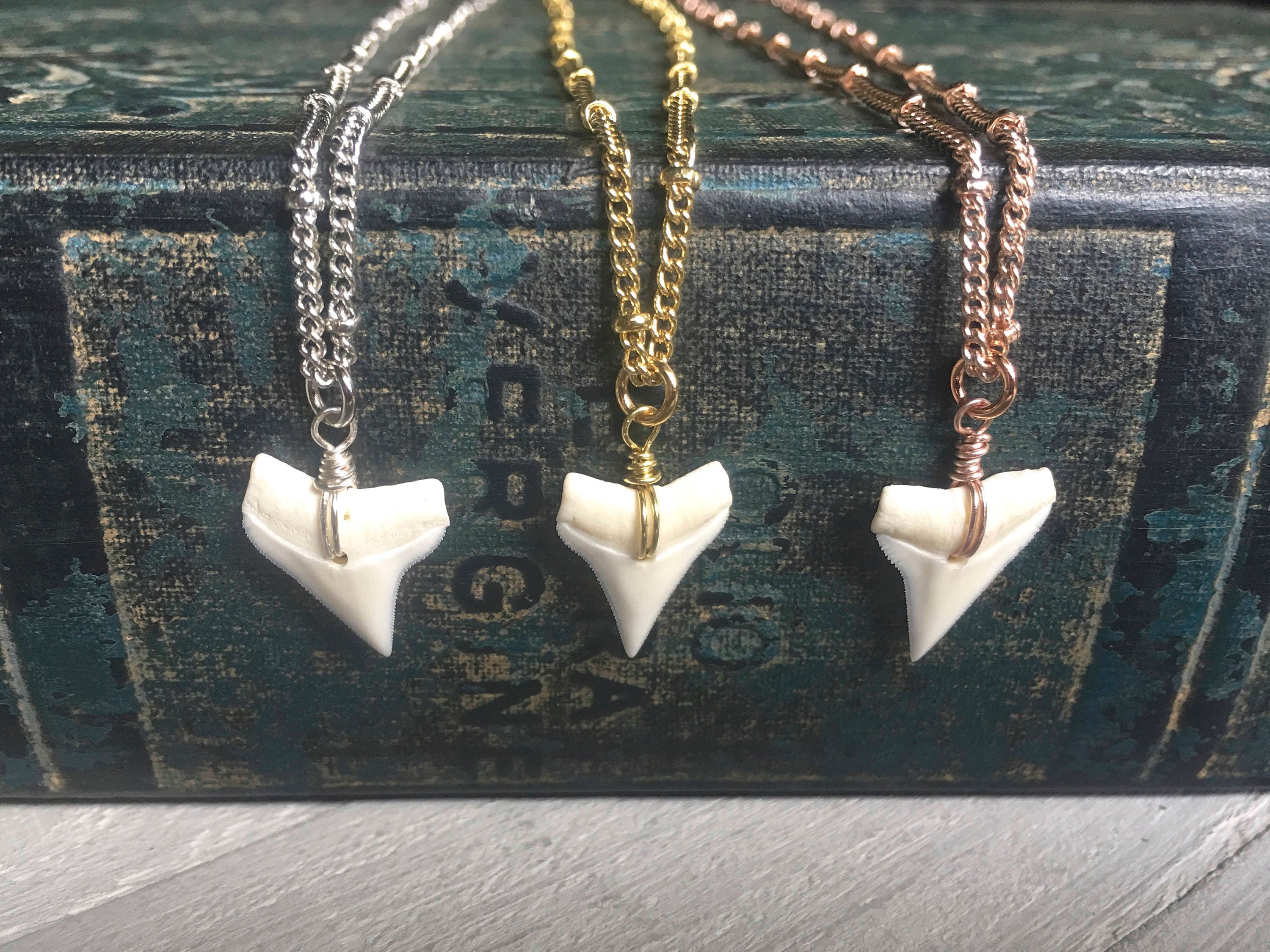 Shark Tooth Necklace - White – Kempton & Co.