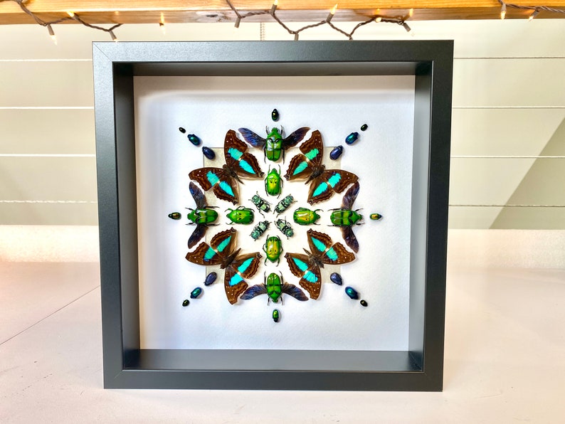 May include: A framed artwork featuring a mandala design made of green and blue beetles and butterflies. The insects are arranged in a symmetrical pattern on a white background.