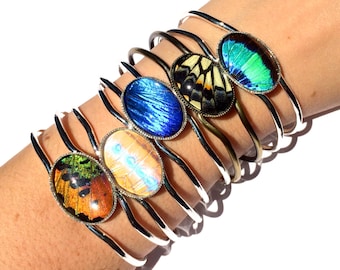 Pulsera de ala de mariposa real Pulsera de la amistad personalizada para 2, 3 y 4 Pulsera de terrario Regalos de amistad únicos Joyas de terrario