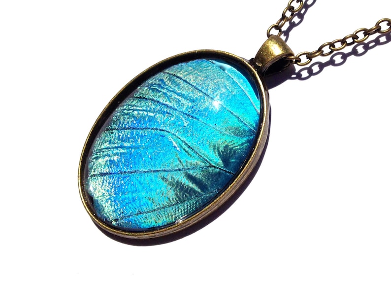 K&ouml;nnte beinhalten: Eine Halskette mit einem runden Anh&auml;nger aus Bronze, in dem sich ein blauer Schmetterlingsfl&uuml;gel befindet.