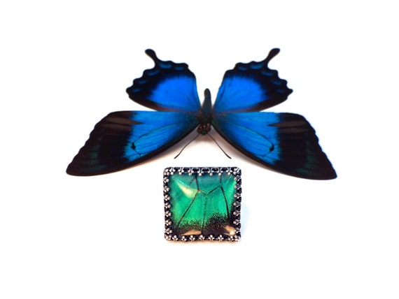 Real Butterfly Wing Ring Pressed Butterfly Ring Sterling Silver