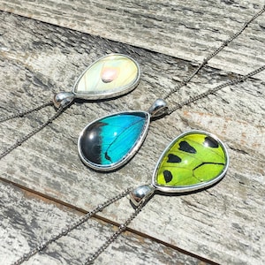 Peut inclure: Trois colliers en argent avec des pendentifs en forme de larme orn&eacute;s d'ailes de papillon conserv&eacute;es. Les pendentifs sont bleus, verts et blancs.