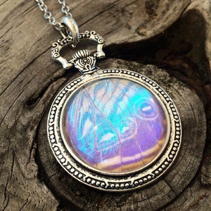 Real butterfly wing pendant Pressed butterfly necklace Pocket watch necklace Pressed flower jewelry Witch necklace Real butterfly jewelry