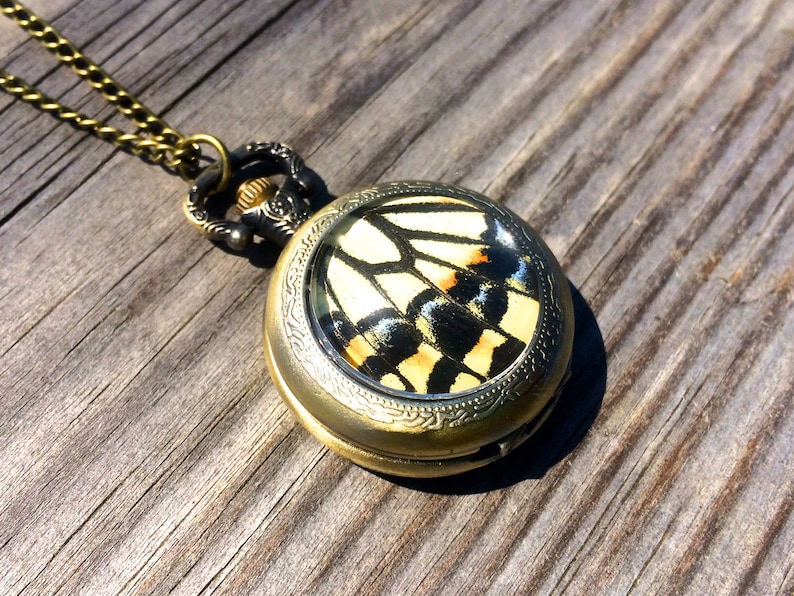 Op de afbeelding: Een gouden zakhorlogeketting met een helder glazen gezicht met een geconserveerde vlinder vleugel met zwarte, gele en oranje markeringen.