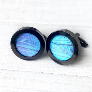 Real Insect cufflinks for men Blue Morpho butterfly wing cufflinks for groom Bespoke cufflinks for wedding Novelty cufflinks for groomsmen