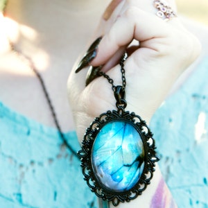 Äkta blå Morpho fjärilssmycken Gotiskt halsband Pastellgoth Estetisk Vaporwave Mjuk grunge Långt svart halsband Gotiska smycken bild 2