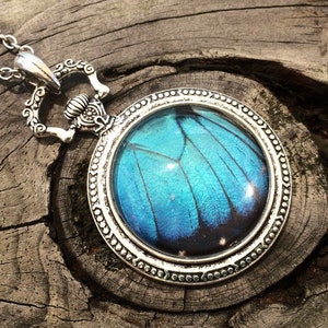 Real blue morpho butterfly necklace Something blue for bride Trending now in jewelry Boho turquoise necklace Silver watch necklace