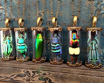 Real beetle necklace Terrarium necklaces for women Pressed flower jewelry Insect taxidermy necklace Oddities and curiosities witch necklace