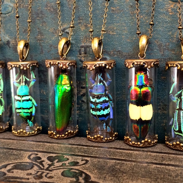 Real beetle necklace Terrarium necklaces for women Pressed flower jewelry Insect taxidermy necklace Oddities and curiosities witch necklace