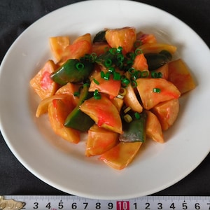 May include: A white plate holds a colorful dish of food. The food consists of orange and red pieces, green peppers, and chopped green onions. A measuring tape is at the bottom of the image.