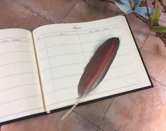 One-of-a-Kind! Brown Leather Lined Sectioned Guest Book