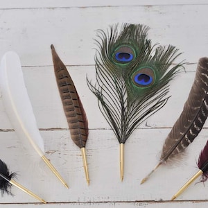 Feather Guest Book Pen- by Claire Magnolia