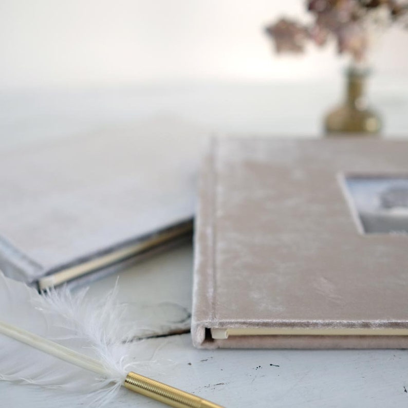 May include: Two velvet-covered photo albums, one light gray and one light pink, with a white feather pen on a white surface.