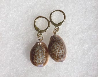 Honey Cowrie Seashell Earrings