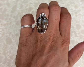 Cat Cone Shell Ring