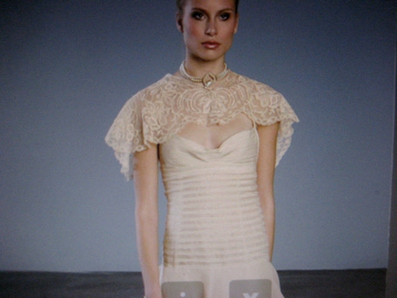 1 Capelet of Breathtaking embroidered net lace in ivory with tan undertones daffodils image 2