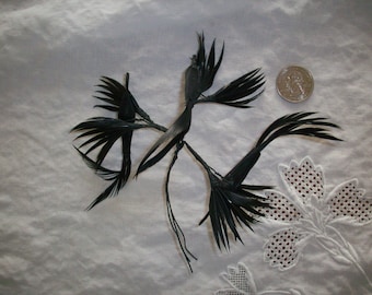 Elegant Vintage feather bird millinery piece 1940s