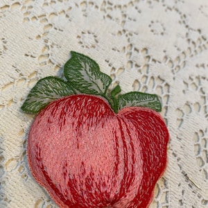May include: Embroidered apple patch with red and pink thread, green leaves, and a black stem. The apple is detailed with textured stitching, creating a realistic appearance. The patch is likely for sewing or crafting projects.