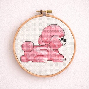Stichin’ Prince - Toy Poodle