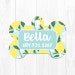 Lemon Dog Tag Personalized Dog Tags for Dogs Dog Collar Tag Custom Pet Tag Pet ID Tag Dog Name Tag Pet Name Tag Pet Collar Tag Fun 3409