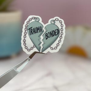 Meilleur ami pour toujours | Vinyle autocollant mat imperméable à l'eau pour ordinateurs portables, bouteilles d'eau, étuis de téléphone, journaux | Sarcasme, Snarky, Drôle, Meilleurs amis