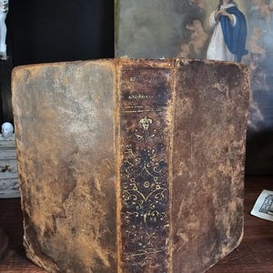 Può includere: Un libro antico, rilegato in pelle, con copertine marroni usurate. Il dorso è di un marrone più scuro con elementi decorativi e testo dorati. Il titolo e l'autore del libro sono visibili. I bordi delle pagine sono visibili e il libro sembra invecchiato.