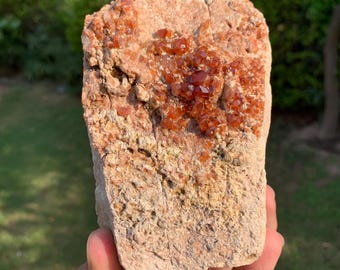 Raw Spessartine Garnet Crystal Cluster on Matrix - Pakistan
