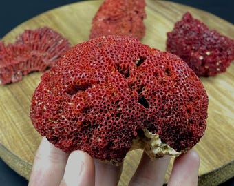 エッチングされたアクアマリン結晶：原石鉱物標本、パキスタン