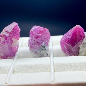 May include: Three raw, uncut ruby crystals. The crystals are a vibrant pinkish-red color, with a rough, textured surface. They are displayed on a white, textured surface against a dark blue background. The crystals vary in size and shape.