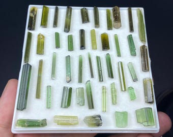 Natural Tourmaline Crystal Lot | Mixed Color Tourmaline Specimens (M6)