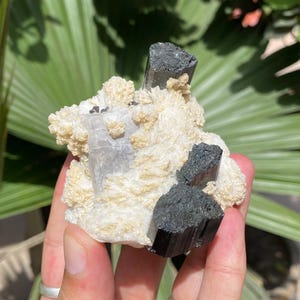 Etched Black Tourmaline Specimen: Pink Apatite & Feldspar on Albite Matrix