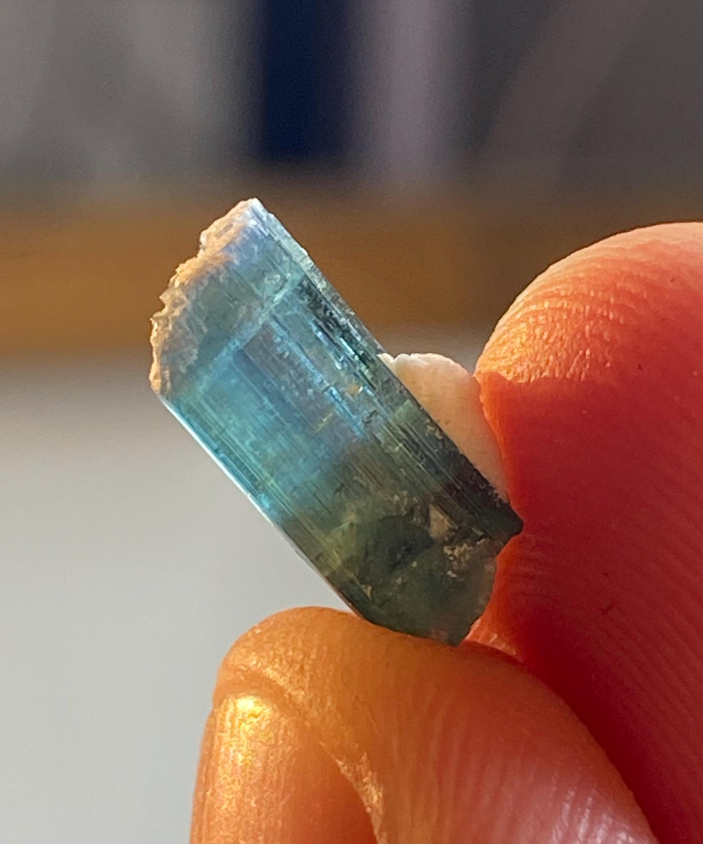 ブルーキャップ トルマリン 鉱物標本 原石 ブルーキャップトルマリン結晶：インディコライトバイカラー原石