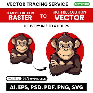 Könnte beinhalten: Ein Vektor-Tracing-Service konvertiert niedrigauflösende Rasterbilder in hochauflösende Vektorbilder. Das Bild zeigt einen Cartoon-Affen mit verschränkten Armen, vor und nach der Vektorisierung. Der Text "LOW RESOLUTION RASTER TO HIGH RESOLUTION VECTOR" wird über den Bildern angezeigt. Der Text "DELIVERY IN 2 TO 4 HOURS" wird unter den Bildern angezeigt. Der Text "AI, EPS, PSD, PDF, PNG, SVG" wird am unteren Rand des Bildes angezeigt.