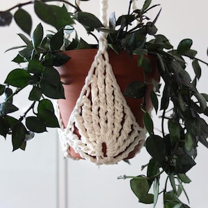 Op de afbeelding: Een terracotta plantenpot hangt in een crèmekleurige macramé plantenhouder. De pot is gevuld met een groene plant met donkergroene bladeren. De ranken van de plant hangen naar beneden, wat een natuurlijke, decoratieve weergave creëert. De achtergrond is effen wit.