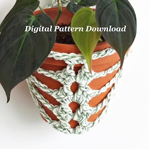 May include: A terracotta-colored plant pot with a green and white crocheted plant hanger. The pot holds a green leafy plant. The text "Digital Pattern Download" is displayed in white across the top of the image.