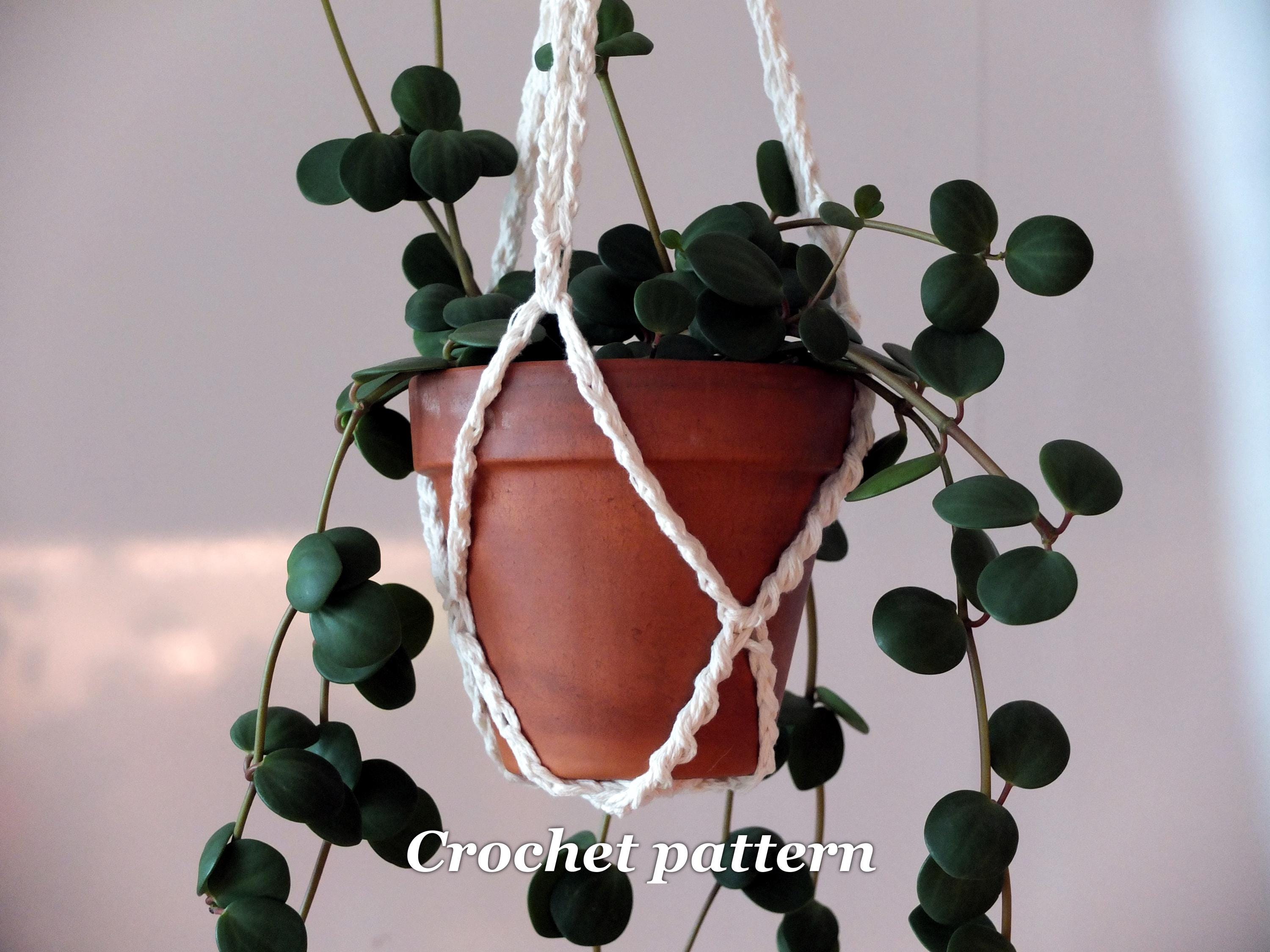large pots for succulents Long and Low Succulent Planter  Mar Floral
