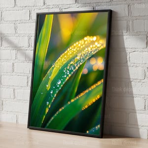 May include: A framed art print showing a close-up of lush green leaves with water droplets, lit by golden sunlight. The artwork is displayed on a wooden surface against a white brick wall. The text "Think decent" is visible.