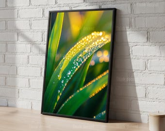 Arte mural de hojas verdes con gotas de rocío, lámina de gotas de rocío matutinas, póster dorado iluminado por el sol, decoración macro de hojas, arte botánico de gotas de rocío, lámina mural de naturaleza