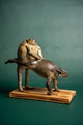 Genuine Taxidermy Cane Toad (Cheeky)