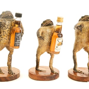 Może przedstawiać: Trzy wypchane żaby trzymające miniaturowe butelki alkoholu. Żaby stoją na drewnianych podstawach. Butelki są oznaczone odpowiednio "Jack Daniel's Tennessee Whiskey", "Toad in the Hole" i "Great Northern".